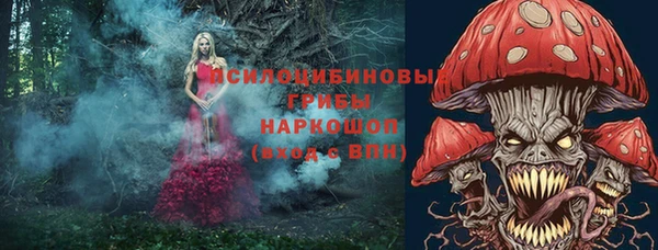 спиды Аркадак