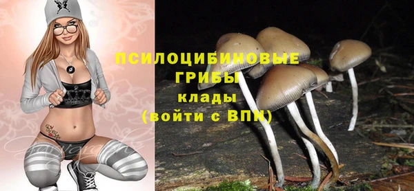 не бодяженный Армянск